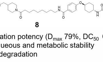 In vivo–Active Soluble Epoxide Hydrolase–targeting PROTACs with Improved Potency and Stability