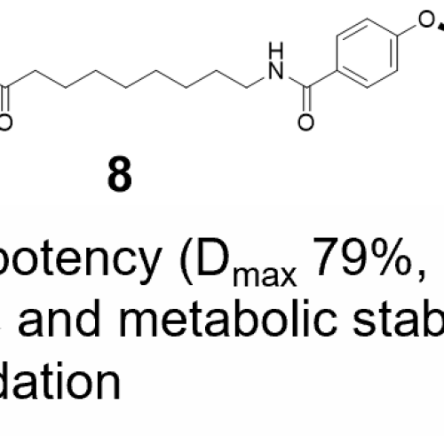 In vivo–Active Soluble Epoxide Hydrolase–targeting PROTACs with Improved Potency and Stability