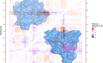 Insights into the Interaction Landscape of the EVH1 Domain of Mena