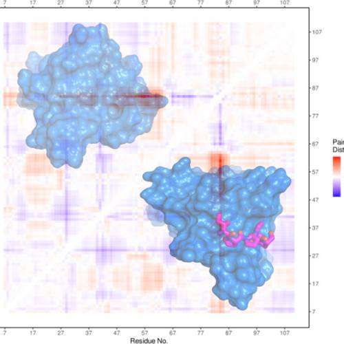 Insights into the Interaction Landscape of the EVH1 Domain of Mena